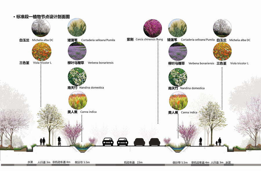 植物景观设计紧密结合镇江当地特色,并融入全新的植物观赏体验理念